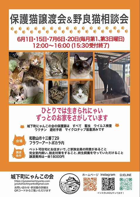 初開催　平日夜の譲渡会　結果は。。。。