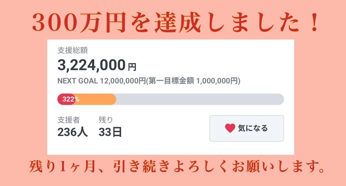 【お礼】300万円突破！残り１か月、目標の1200万円に向けて引き続きよろしくお願いします。