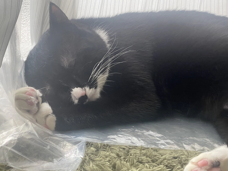 返礼品発送について