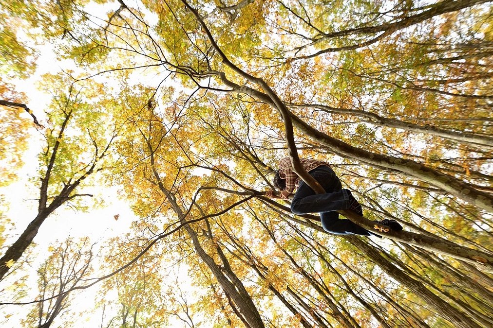 「5センスプロジェクト」アファンの森での過ごし方