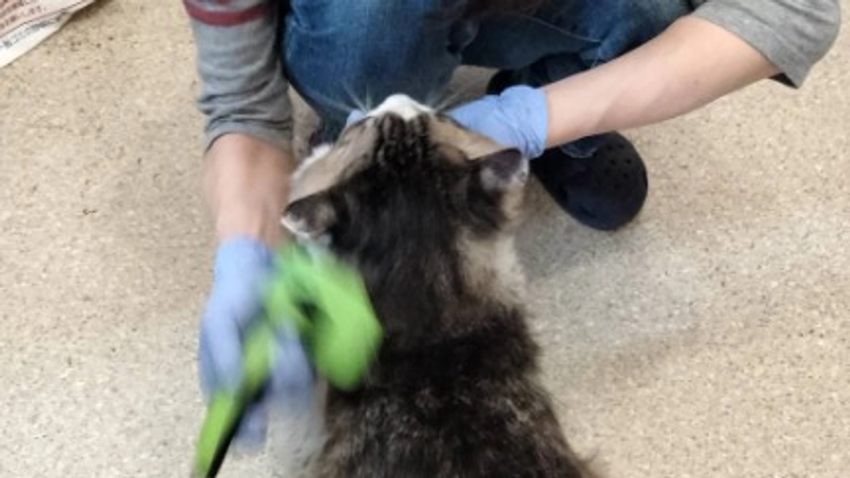 ボランティアさんの愛がいっぱい。