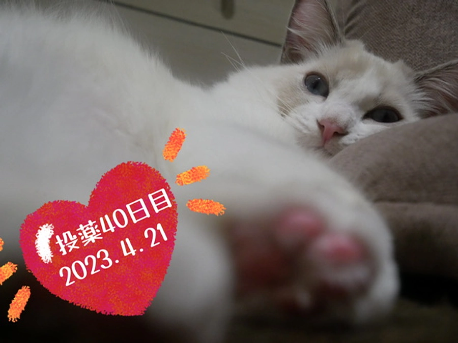 投薬４０日目(2023.4.21)