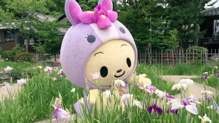 みんなと一緒に歌える「ちりゅっぴのうた」を作りたいだっぴ！