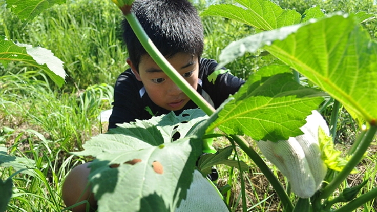 農業が教える未来を生き抜く力！農業×教育、実践の場を全国へ！