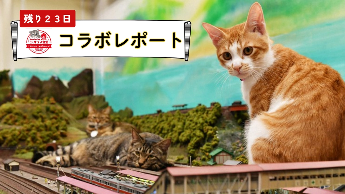 【ジオラマ食堂】コラボレポート！