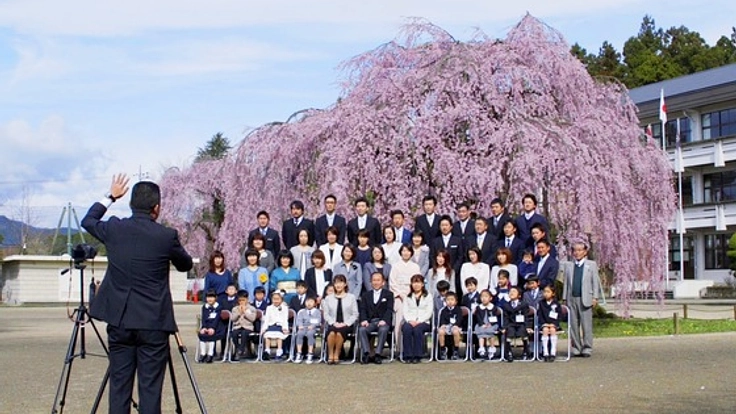 廃校の危機を乗り越えた、城山西小学校と孝子桜の奇跡を映画に！