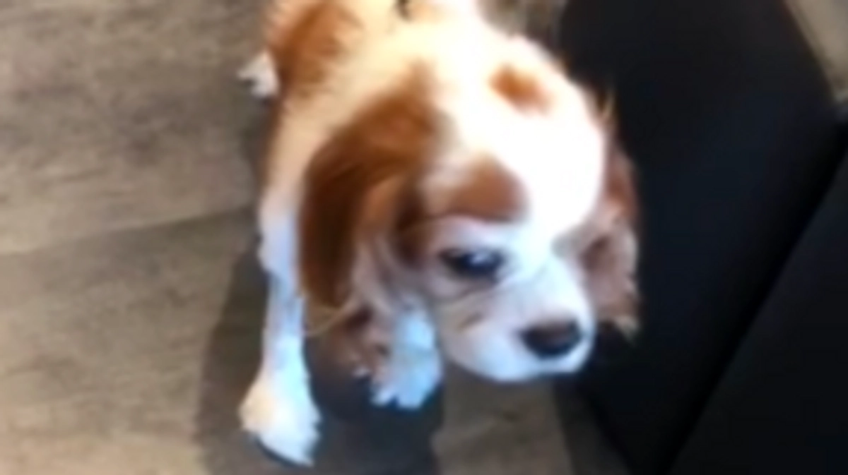 術後11日目、ロビーお散歩