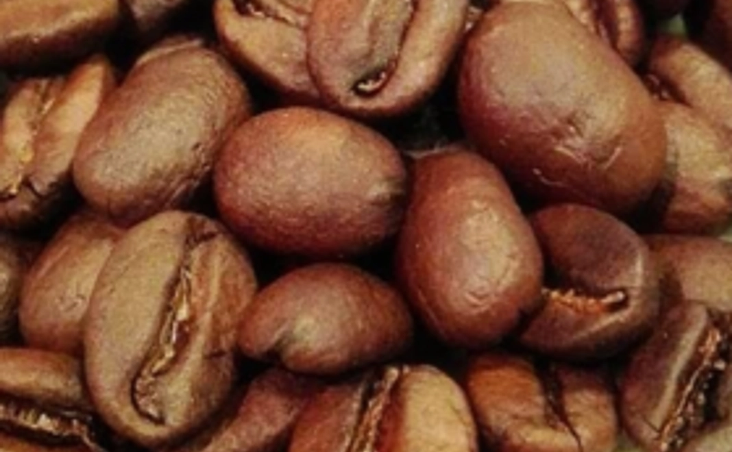 【希少種贅沢豆入り！】定期配送9ヶ月 OTTANTA COFFEEおすすめ焙煎豆150g×2種類【合計2.7kg】