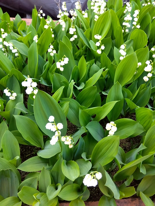 第25回目21888円のご支援金を頂戴しました🙌💞🙏