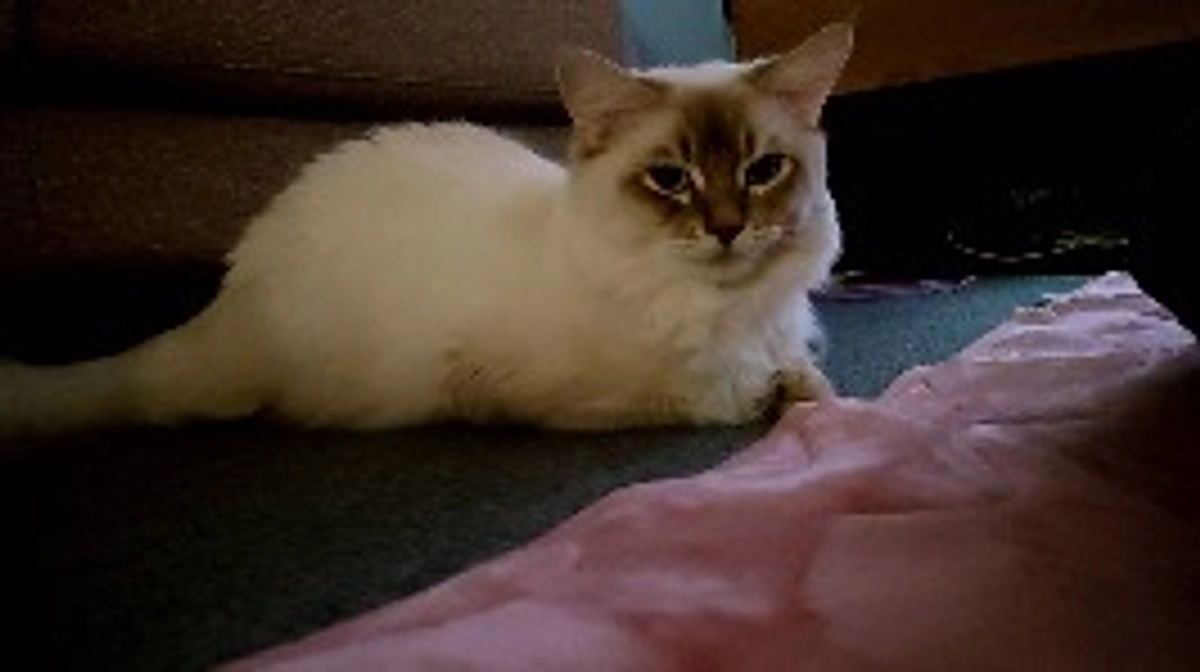 活動報告です。