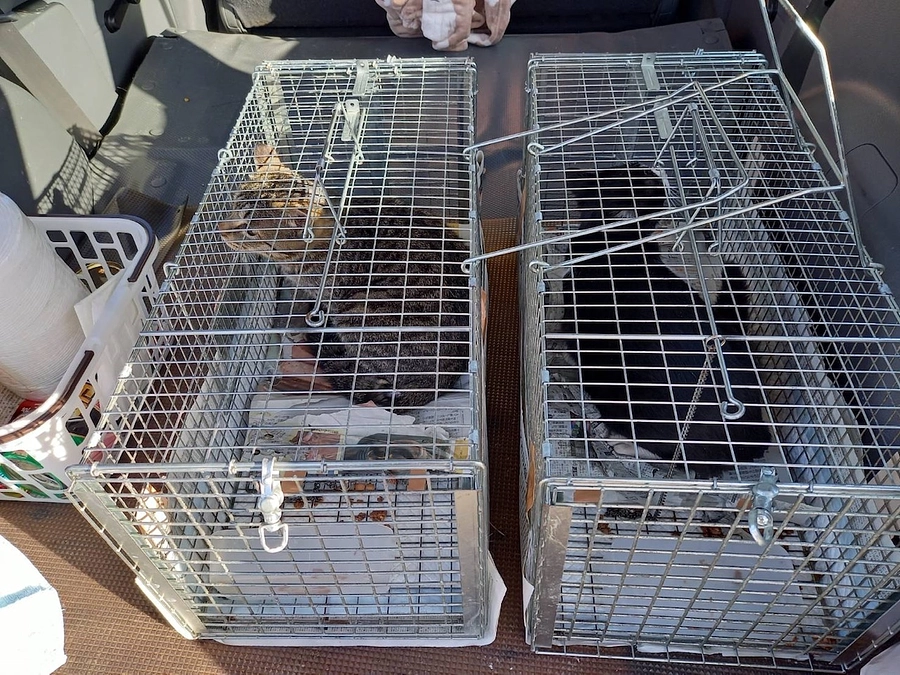 できることから始める