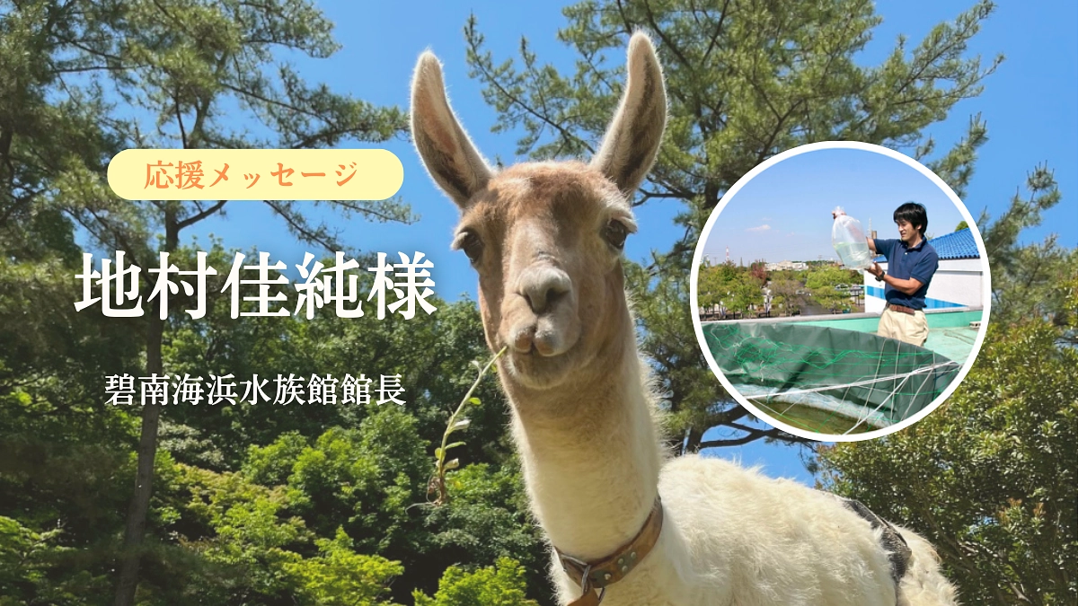 【活動報告62】碧南海浜水族館館長　地村佳純様からの応援メッセージ