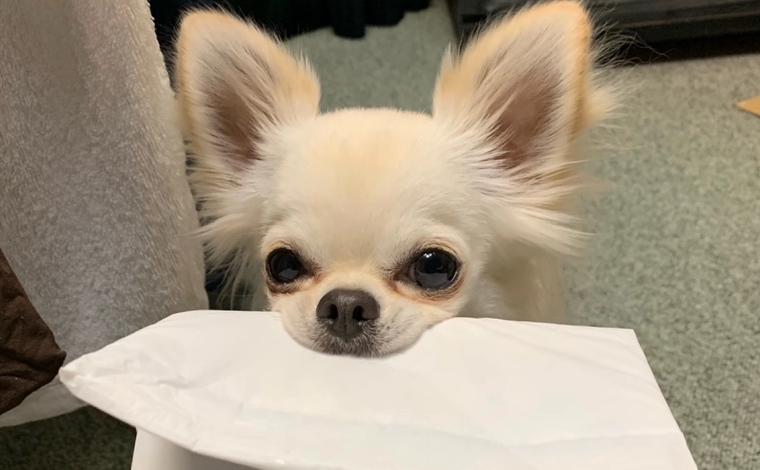 感謝のメールと活動報告5000