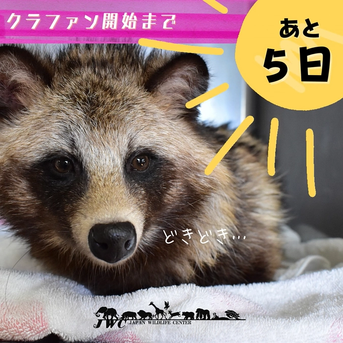 JWCクラファン開始まであと5日！ YouTube動画も！