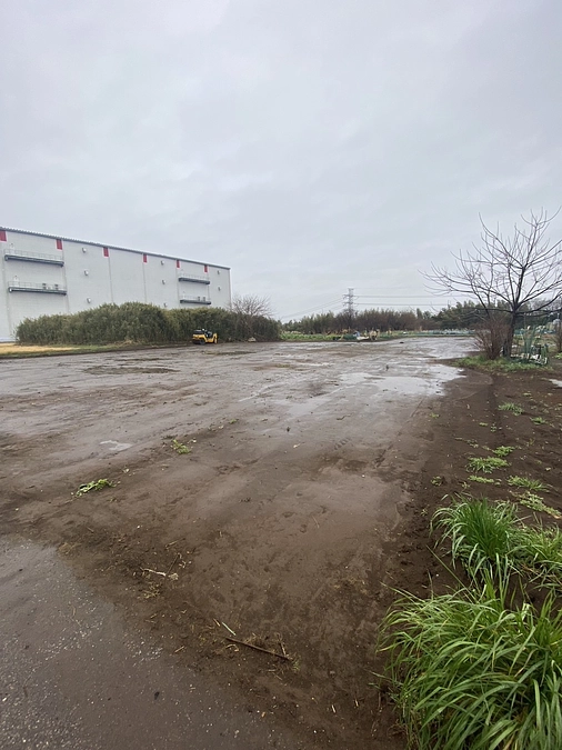 3/6(水)雨降って地固まる