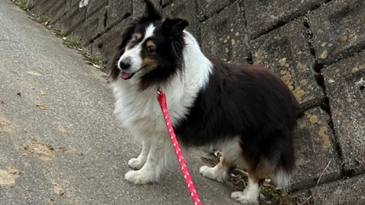 §第一目標達成しました！有難うございました§