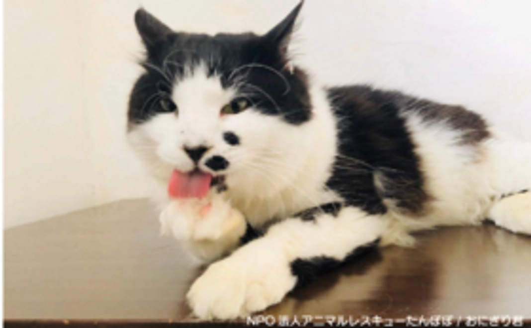 リターンコース 3,000