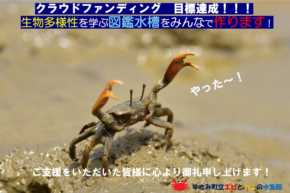 クラウドファンディング終了しました！温かいご支援本当にありがとうございました。