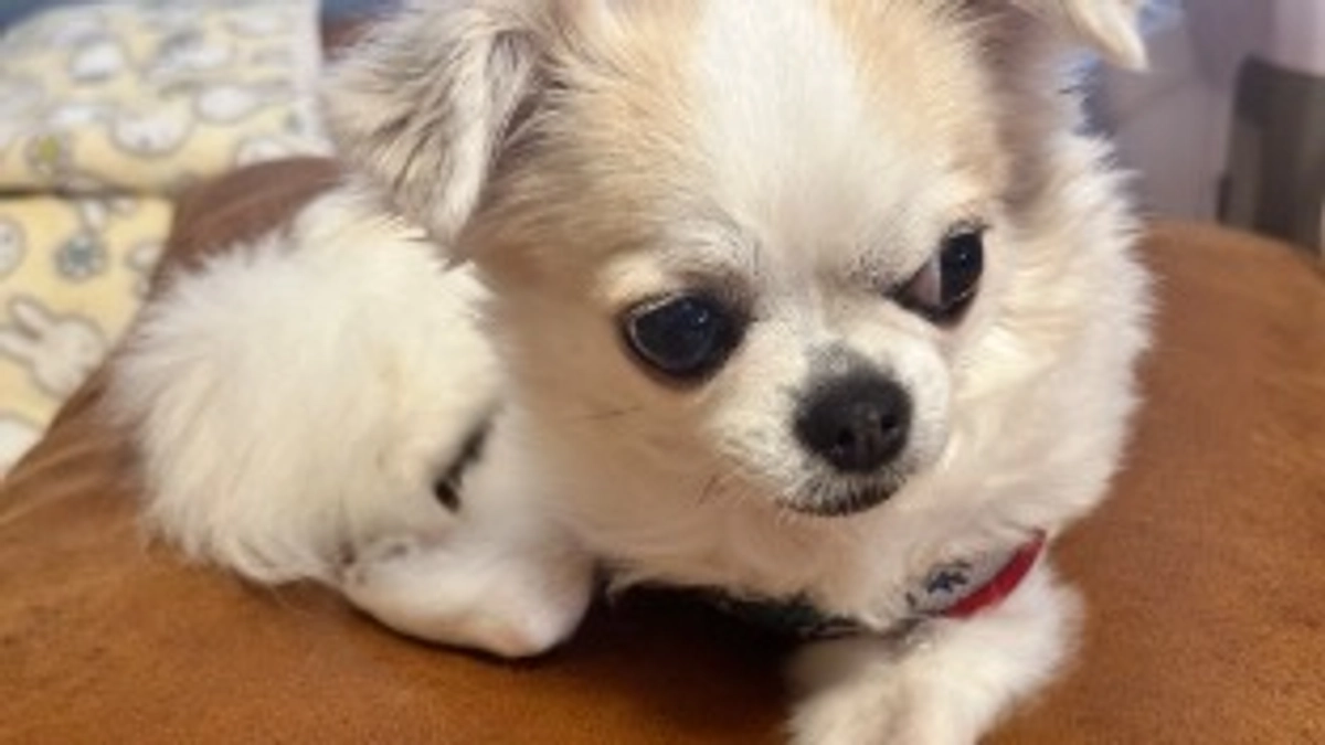 10月後半なのにまだまだ暑い☀️