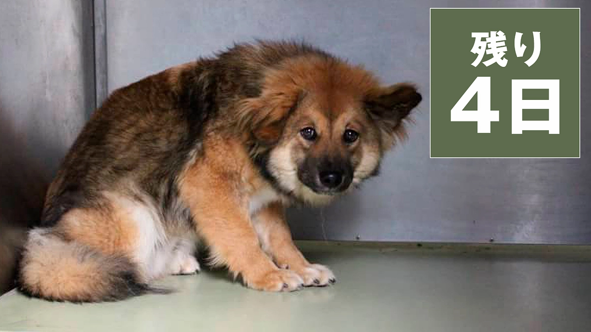 残り4日となりました！