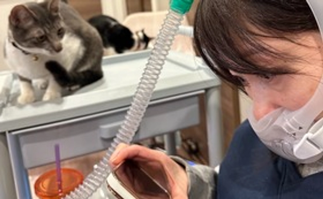 とにかく応援！見守りたい！