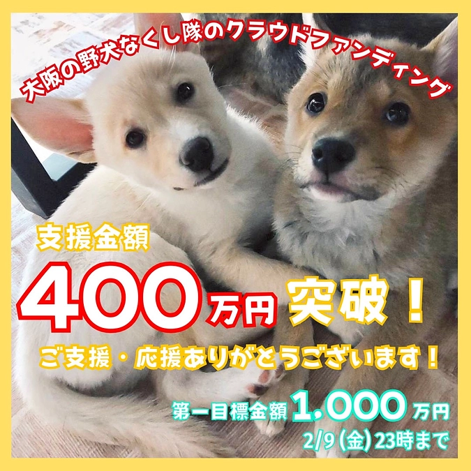 支援者様281名様！支援金額400万円を突破しました！