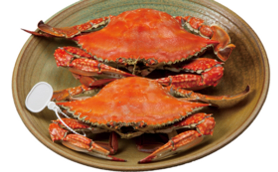 【定価の17％OFF】魚長のタグ付き！茹で渡り蟹2杯（送料込み）