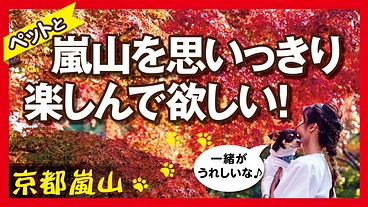 京都嵐山！ワンちゃんと泊まれるホテルからペットに優しい地域を作る！ のトップ画像
