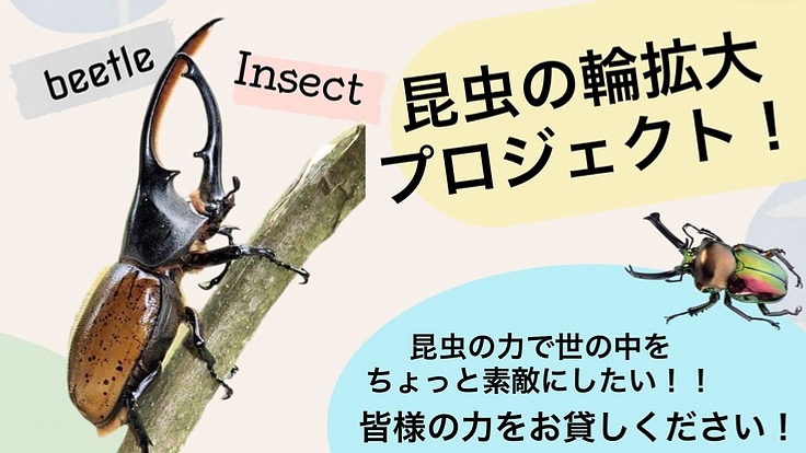 昆虫の魅力をたくさんの人に伝えたい　昆虫の輪拡大プロジェクト！！
