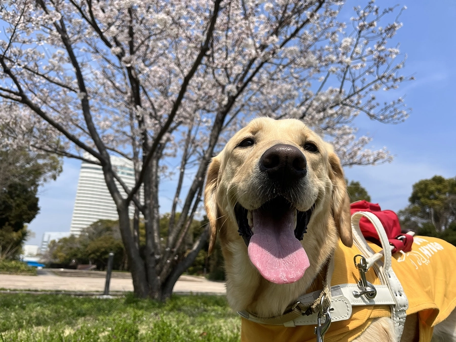 クラウドファンディングプロジェクト第3弾が始まります！！