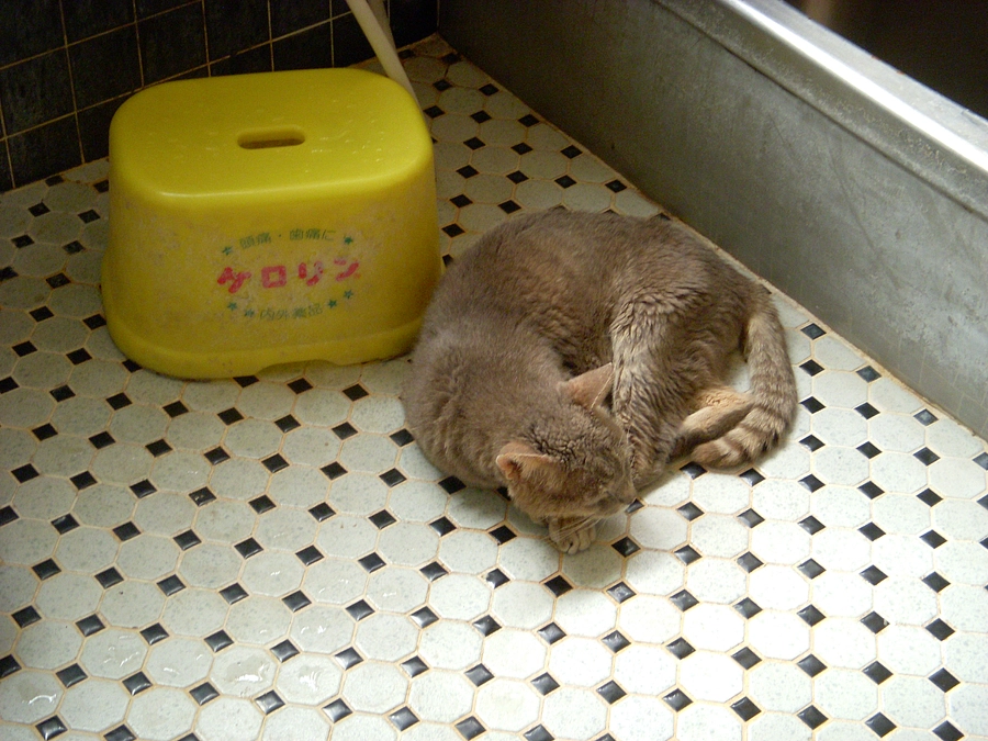 M.OK　様へ捧げる記事　　郵便受け、ありがとうございました　📪