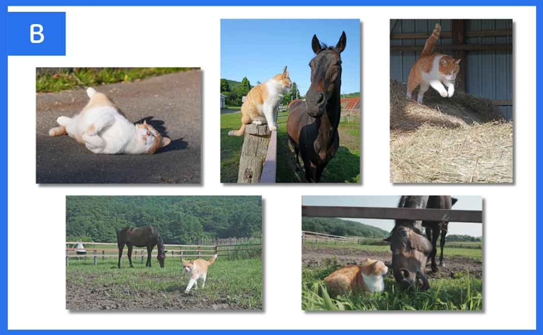 【クラウドファンディング限定】メト＆ネコパンチ ポストカードセット【B】