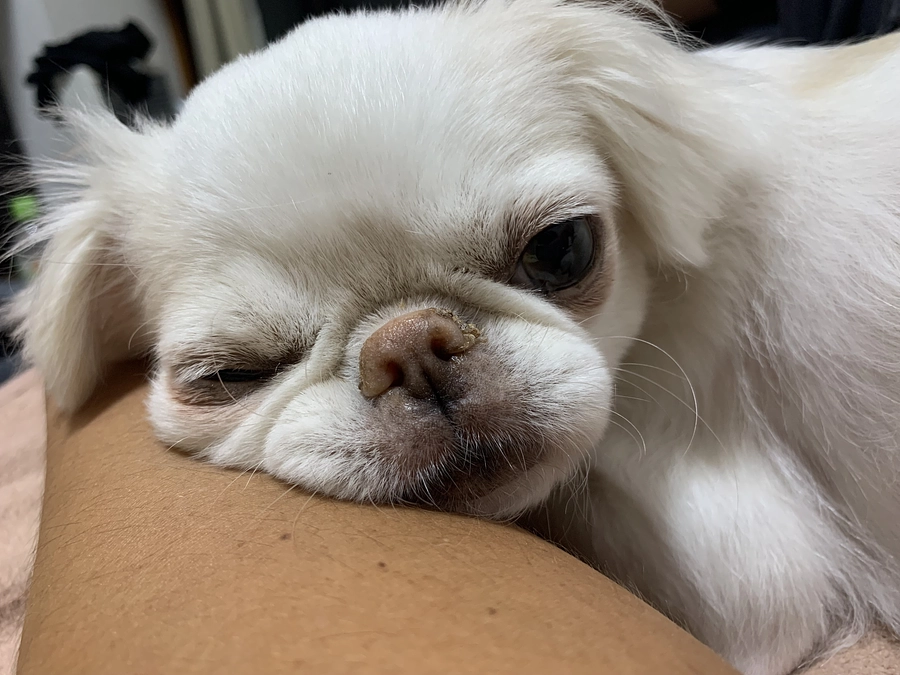 あと45日✊‼️