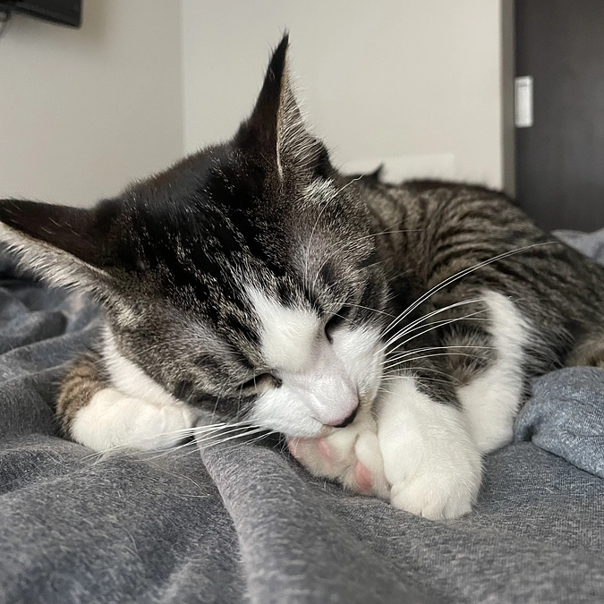 投薬終了後2か月目の検診