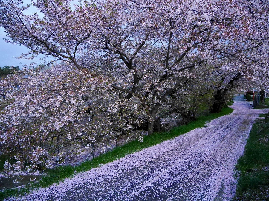 仏像公開遅延理由のご説明とお詫び