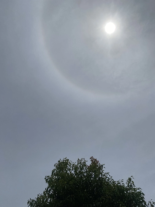 無事にニーノを見送れました