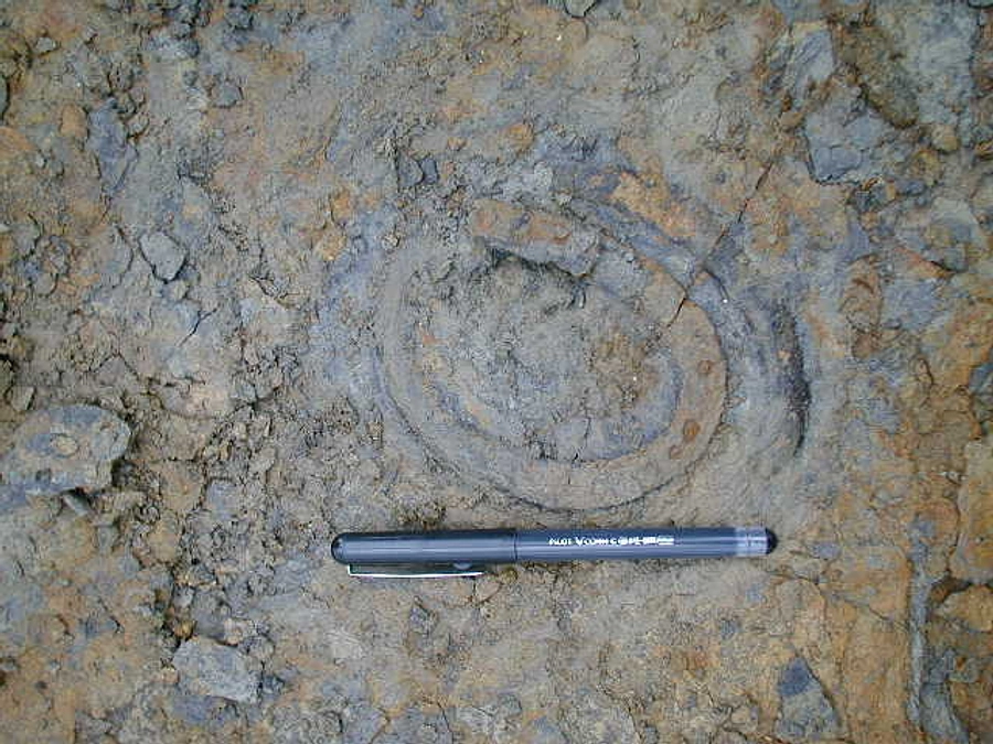 骨じゃないよ５