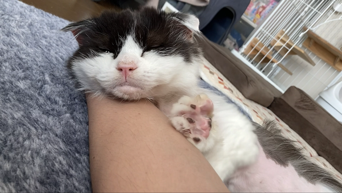 10/28のテオくんの様子