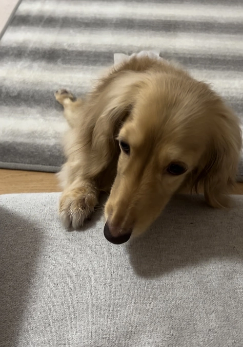 残り2日を切りました💦