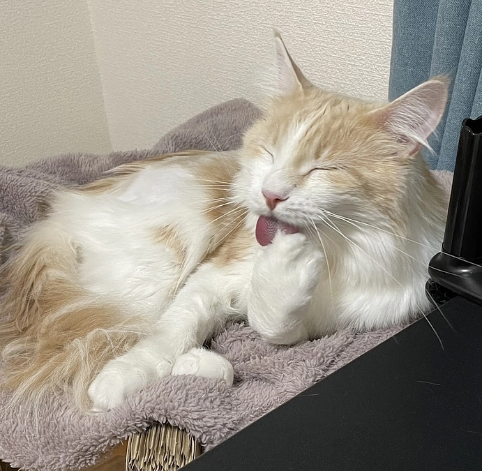 10/30ルイの様子