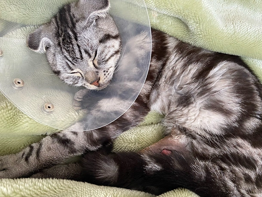 2023.6.18🔥 #闘病生活 61日目🔥