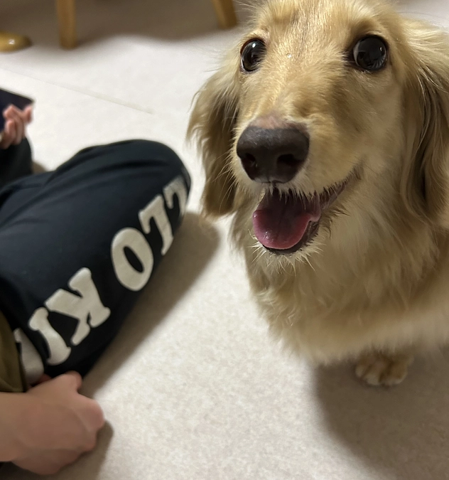 ㊗️成立🥹‼️