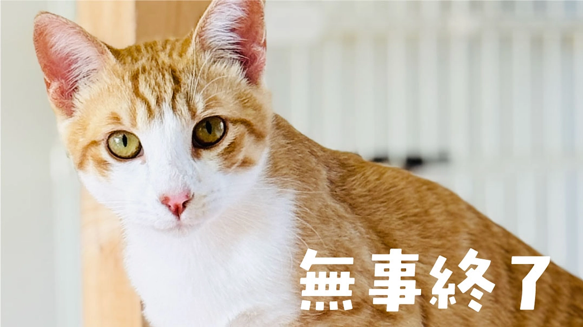 たくさんのご賛同ありがとうございました！