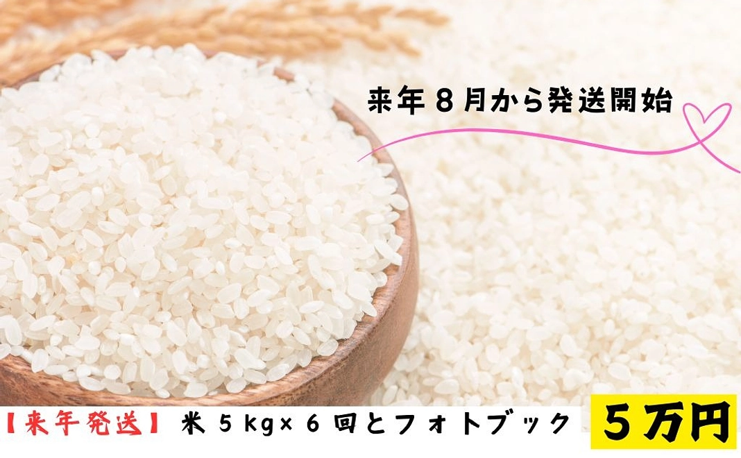 【来年８月発送開始】年６回お米５kgお届け券