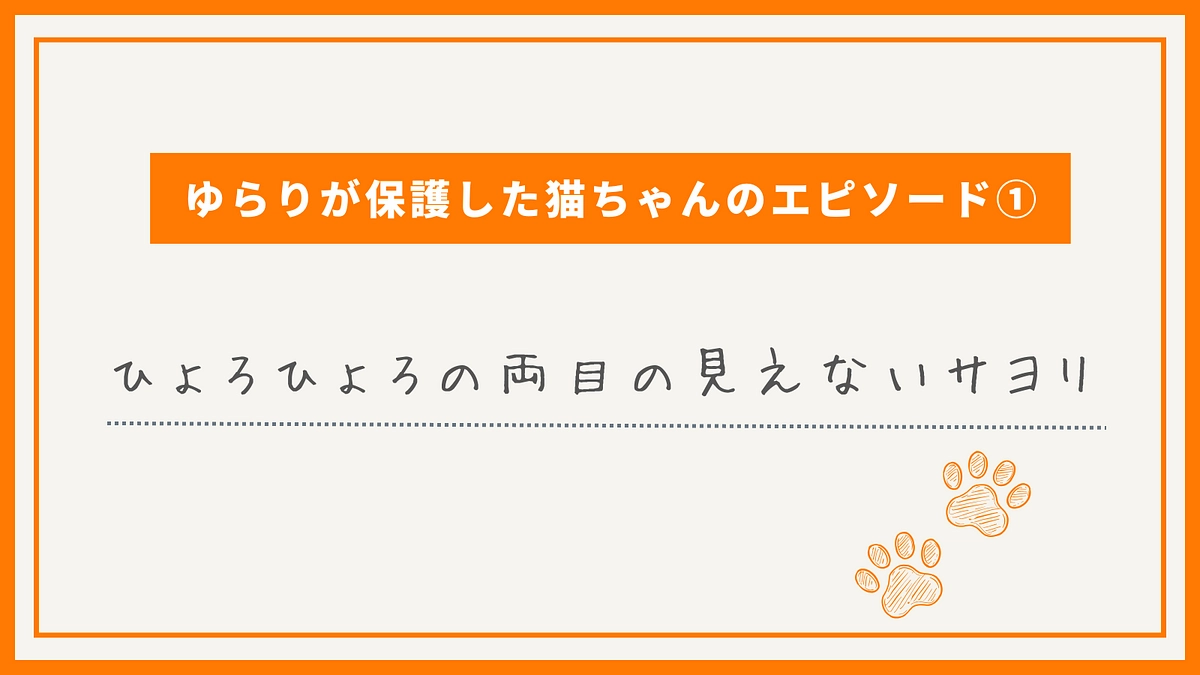ゆらりが保護した猫ちゃんのエピソード①ひょろひょろに痩せたの両目の見えないサヨリ