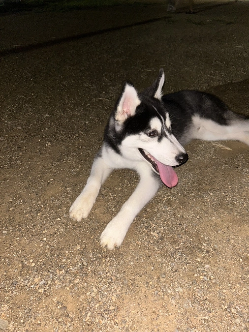 プロジェクトを始めて1週間⭐️