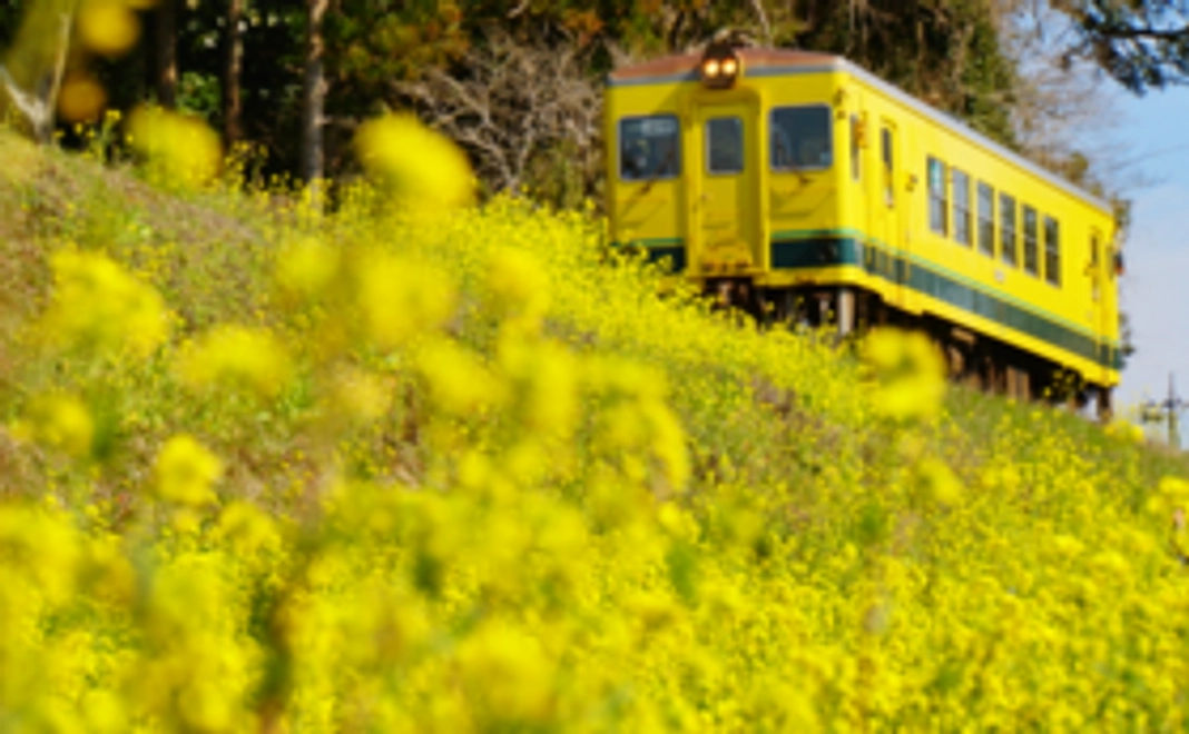 《※リターン不要な方向け》お気持ち応援コース