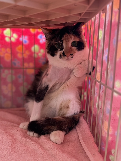 たくさんの奇跡の積み重ねがありました