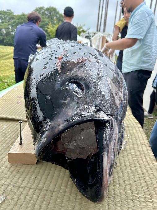 クラウドファンディング活動報告（二十五日目）