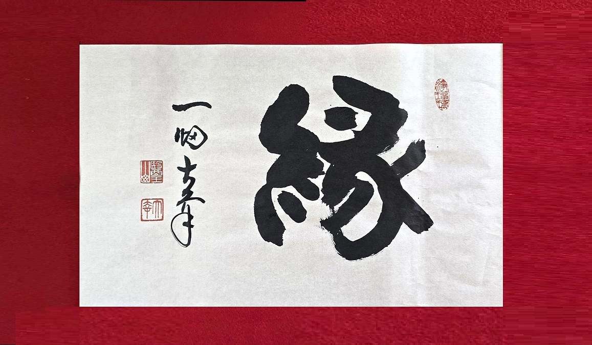 大口のご支援も…海外からも…感謝です🙏